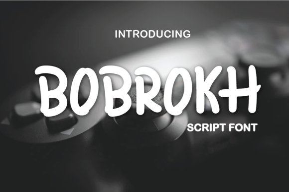 Bobrokh: A Bouncy Display Font for Fresh Web Designs