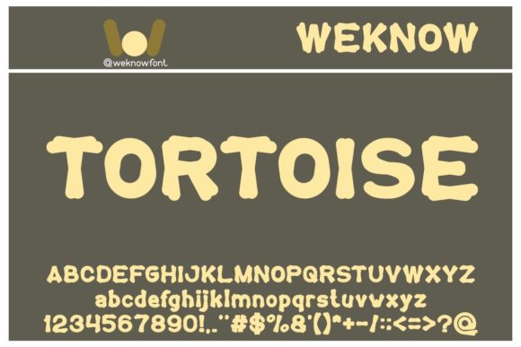 Introducing Tortoise: A Bold and Friendly Display Font